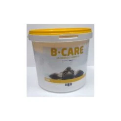 SUMMER FUN B-Care PH Plus 5kg.