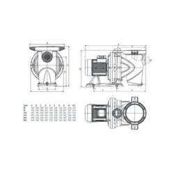 DAB Zwembadpomp Euroswim 300 M 7 DAB Zwembadpomp Euroswim 300 M -Topzwembad dab zwembadpomp euroswim 300 m 1 2